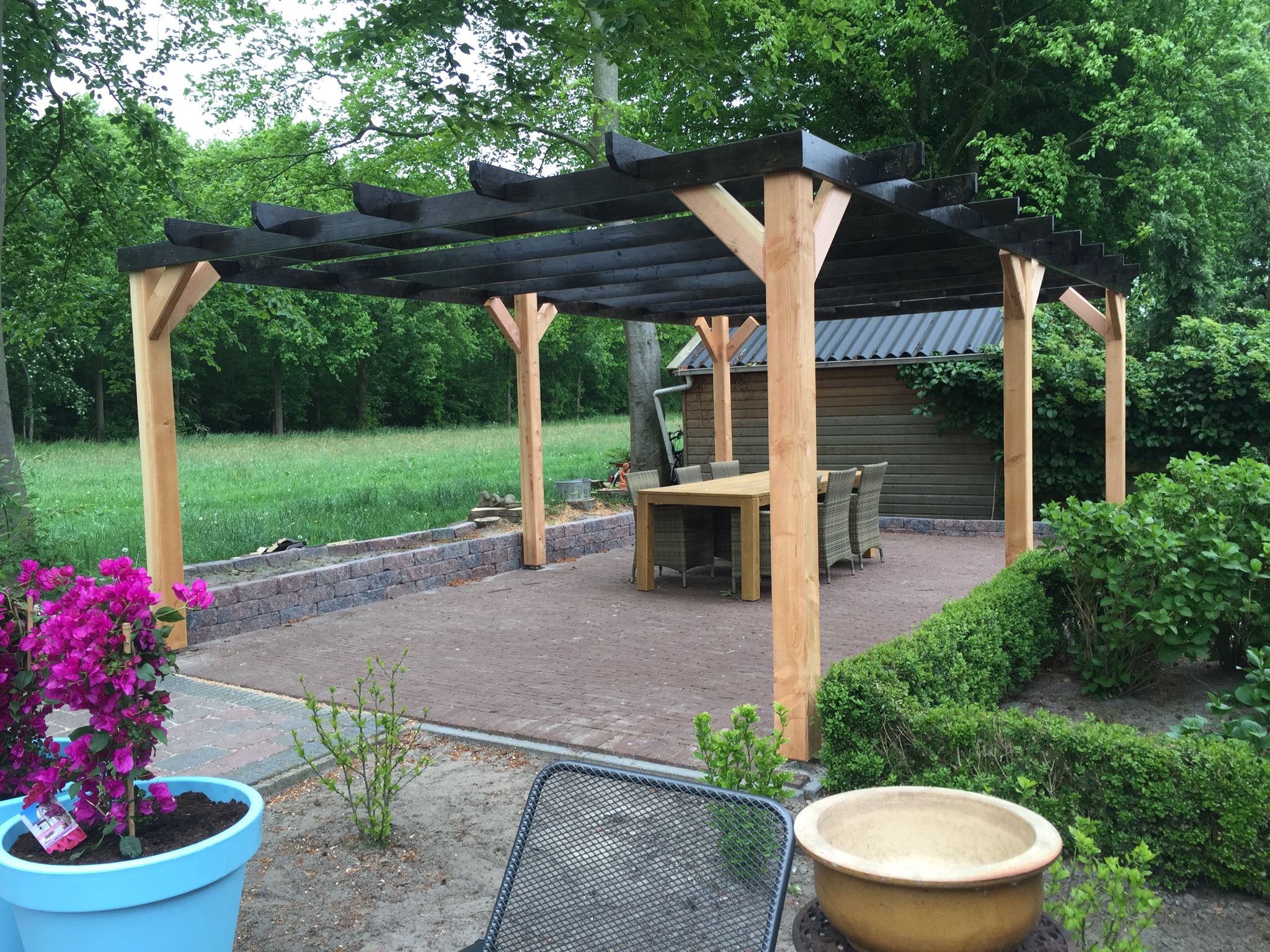 Tuin met pergola en terrashaard